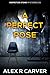 A Perfect Pose: Inspector Stone Mysteries #3