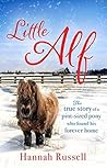 Little Alf: The true story of a pint-sized pony who found his forever home