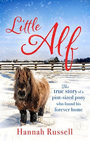 Little Alf: The true story of a pint-sized pony who found his forever home (Kindle Edition)