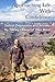 Approaching Life With Confidence by Brian Chandler
