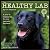 Healthy Lab 2014 Calendar
