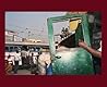 Raghubir Singh: M...