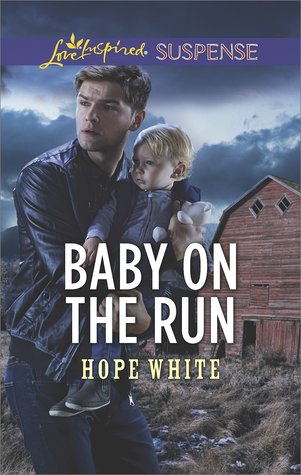 Baby on the Run (Baby Protectors #2)