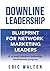 Downline Leadership: Bluepr...