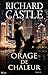 Orage de chaleur (Nikki Heat, #9)