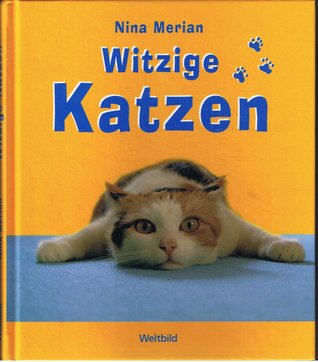 Witzige Katzen