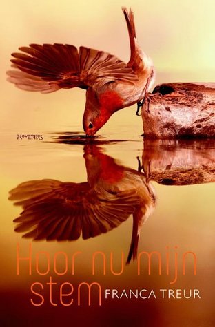 Hoor nu mijn stem (Paperback)
