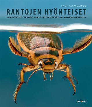 Rantojen Hyönteiset