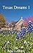 Texas Dreams 1