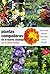 Plantas compañeras del huer...