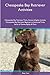 Chesapeake Bay Retriever Ac...