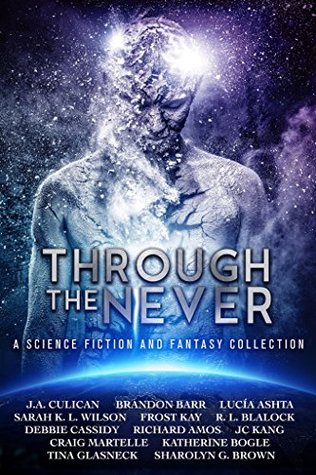 Through the Never (Kindle Edition)