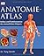 Anatomie-Atlas