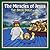 The Miracles of Jesus: The Brick Bible for Kids