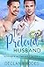 The Pretend Husband (Romanc...