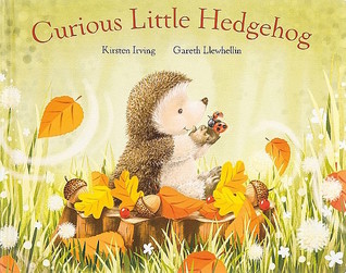 Curious Little Hedgehog
