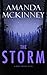 The Storm (Berry Springs #3)