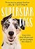 The Little Book of Dog Tricks: Easy tricks that will give your pet the spotlight they deserve