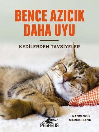 Bence Azıcık Daha Uyu: Kedilerden Tavsiyeler