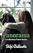 Panorama: A collection of s...