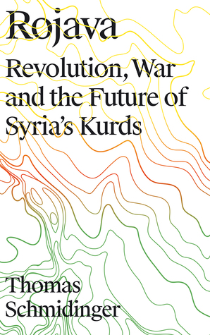 Rojava: Revolution, War and the Future of Syria's Kurds (Hardcover)