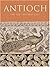 Antioch: The Lost Ancient City