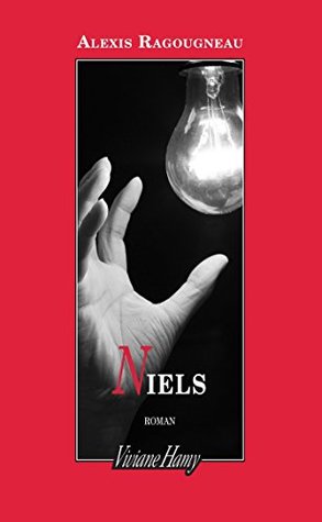 Niels (Kindle Edition)