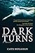 Dark Turns by Cate Holahan
