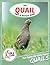 The Quail Fact and Picture Book: Fun Facts for Kids About Quails (Turn and Learn)