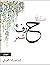 لست إلا حرف شعر