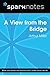 A View from the Bridge (SparkNotes Literature Guide)