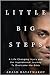 Little Big Steps by Arash Bayatmakou