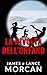 La rivolta dell'orfano