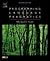 Programming Language Pragmatics