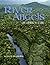 River Angels by Stacey Reynolds