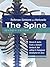 Rothman-Simeone The Spine E-Book: Expert Consult: Online, Print and DVD, 2-Volume Set (Rothman Simeone the Spine)