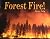 Forest Fire!
