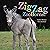 ZigZag ZooBorns!: Zoo Baby ...