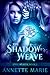 The Shadow Weave (Spell Weaver, #2)