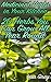 Medicinal Herbs in Your Kit...