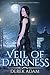 Veil of Darkness (Veil of Darkness #1)