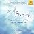 Soul Bursts: Nuggets of Inspiration to Help You Live Your Best Life