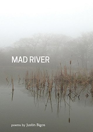 Mad River (Paperback)