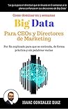 Big Data para CEO...