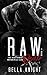Raw Deal (The Nighthawks MC...