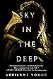 Image for Sky in the Deep