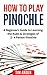 How to Play Pinochle: A Beg...