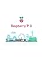 Raspberry Pi 3: The Ultimat...