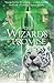 The Wizard's Promise by Cliff McNish
