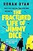 Fractured Life of Jimmy Dice